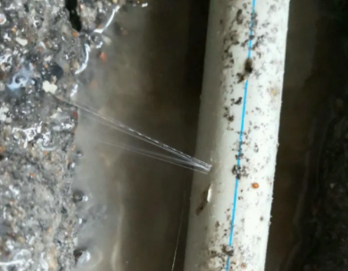 南召测漏水哪家好