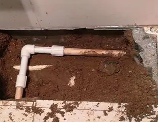 南召测漏水哪家好