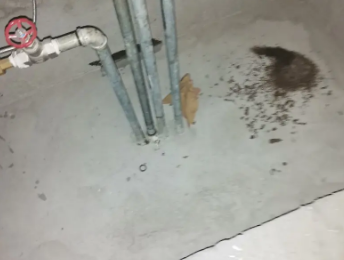 南召卫生间测漏水价格明细