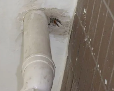 南召漏水检测哪家好